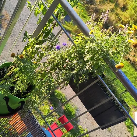 Benny's Worpsweder Glueck *